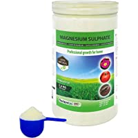 Nortembio Agro Sulfato de Magnesio Natural 1-2 Kg. Abono de Uso Universal. Favorece el Crecimiento de Cultivos- Jardines…